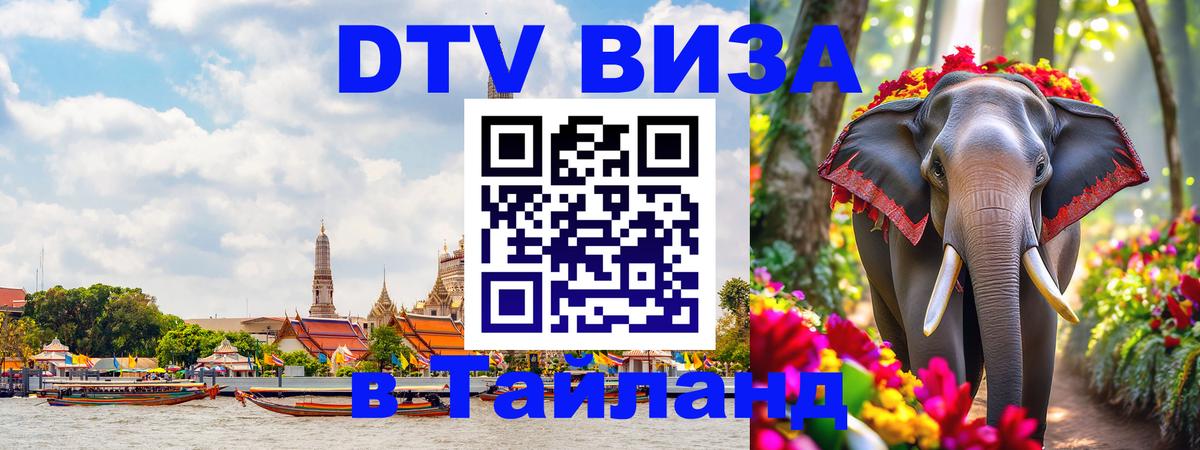 Сколько стоит DTV виза — актуальные цены, оформление даже без документов - 04.10.2025 